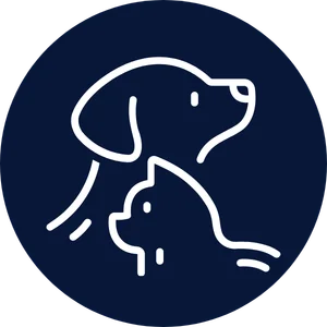 Dolor constante Eutanasia para mascotas en Bogota